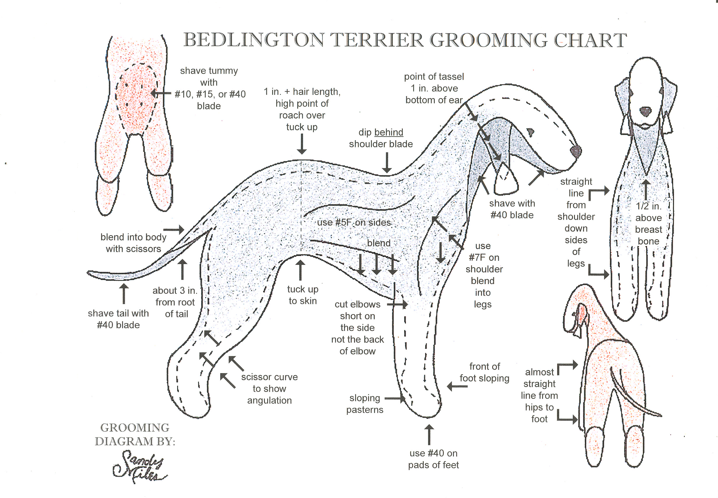 Miles grooming chart