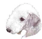 head